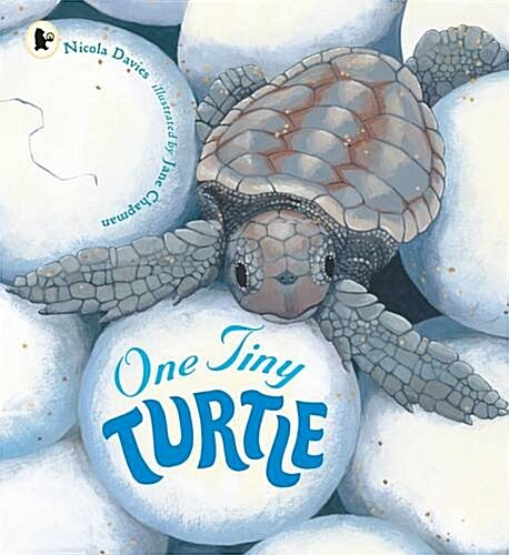 One Tiny Turtle (Paperback)