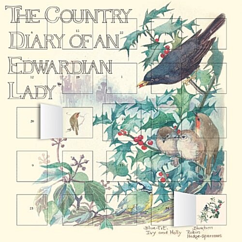 The Country Diary of an Edwardian Lady advent calendar (Calendar)