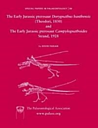 The Early Jurassic Pterosaur Dorygnathus Banthensis (Theodori, 1830) and the Early Jurassic Pterosaur Campylognathoides Strand, 1928 (Paperback)