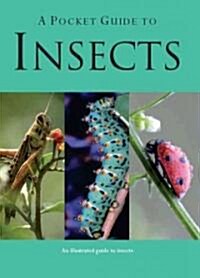 A Pocket Guide to Insects (Paperback, POC)