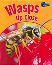 Wasps Up Close (Paperback)