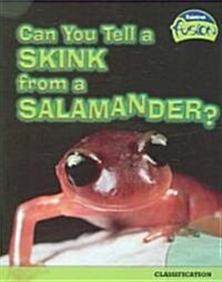 Can You Tell a Skink from a Salamander?: Classification (Paperback)