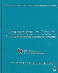 Therapists in Court: Providing Evidence and Supporting Witnesses (Hardcover)