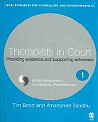 Therapists in Court: Providing Evidence and Supporting Witnesses (Paperback)