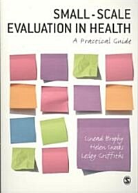 Small-Scale Evaluation in Health: A Practical Guide (Paperback)