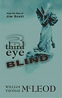 Third Eye Blind (Paperback)