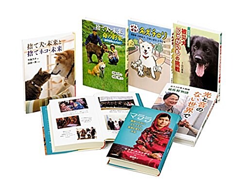 巖崎書店ノンフィクション讀みもの新刊セット(全6) (單行本)