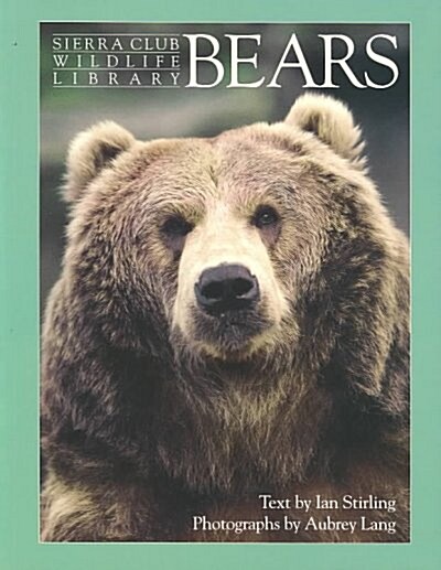 Bears (Paperback)