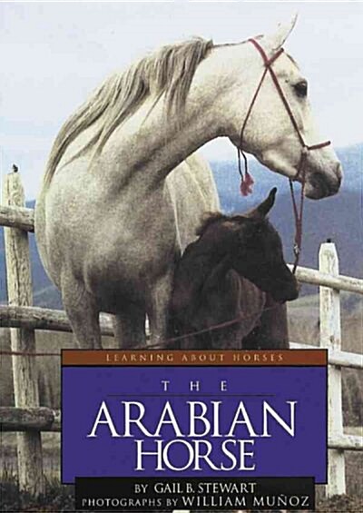 The Arabian Horse (Library)