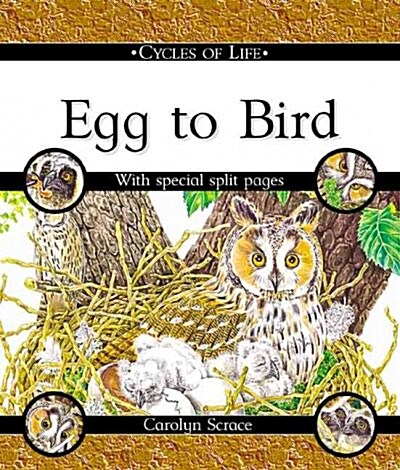 Egg to Bird (Library)