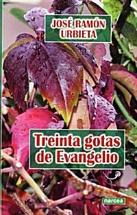 Treinta gotas de evangelio / Thirty drops of gospel (Paperback)