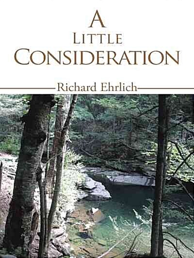 A Little Consideration (Paperback)