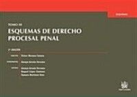 Esquemas de derecho procesal penal / Outlines of criminal procedural law (Paperback)