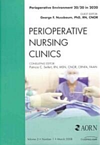 Perioperative Environment 20/20 in 2020 (Paperback, 1st)