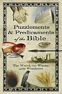 Puzzlements & Predicaments of the Bible: The Weird, the Wacky, and the Wondrous (Paperback)