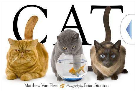 Cat (Hardcover)