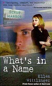 Whats in a Name (Paperback)