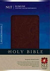 Holy Bible (Hardcover, Indexed)
