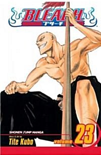 Bleach, Vol. 23 (Paperback)