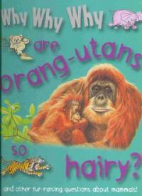 Why why why are orang-utans so hairy?