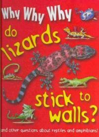 Why why why do lizards stick to walls?