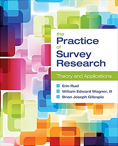 The Practice of Survey Research: Theory and Applications (Paperback)