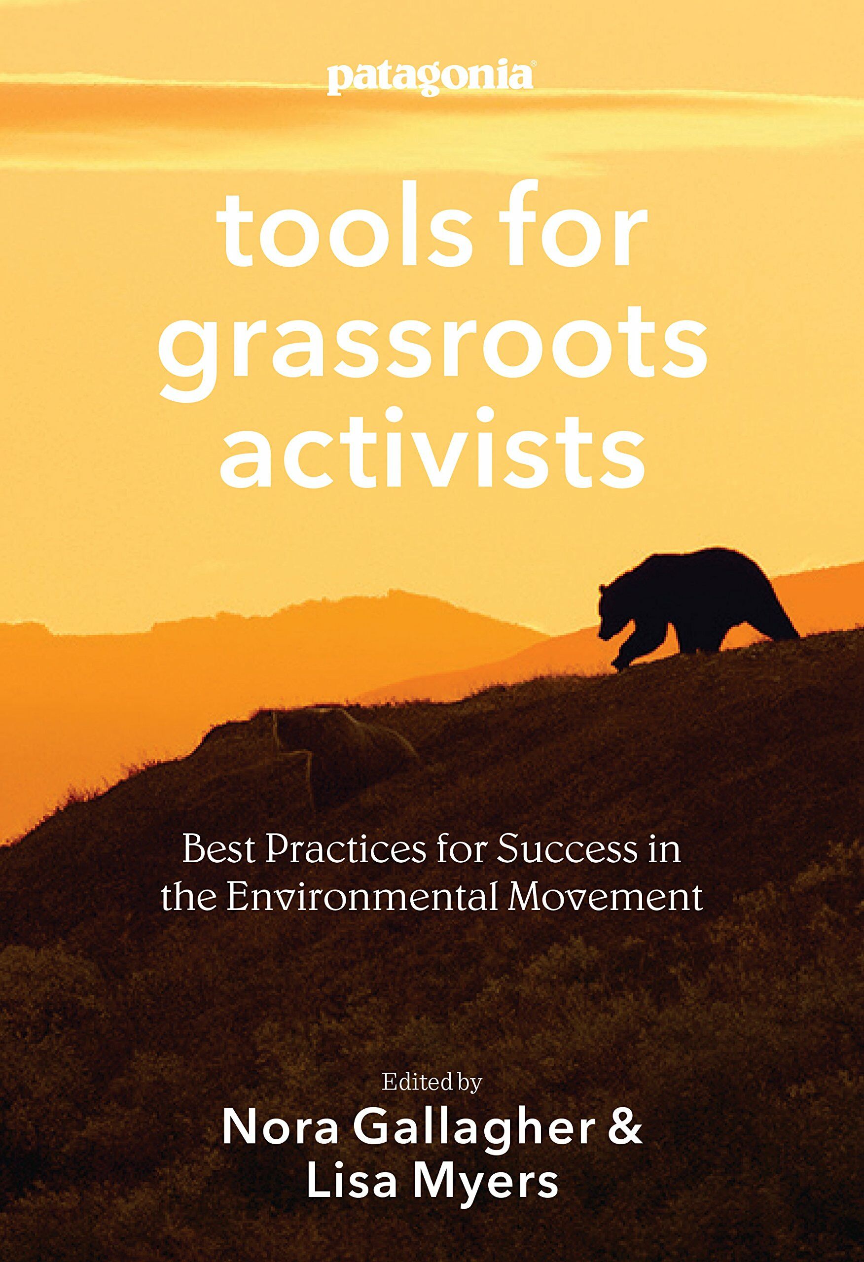 Tools for Grassroots Activists: Best Practices for Success in the Environmental Movement (Paperback)