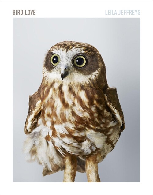 Bird Love: A Photography Book (Hardcover)