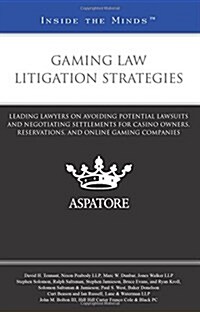 Gaming Law Litigation Strategies (Paperback)
