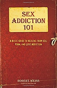 Sex Addiction 101: A Basic Guide to Healing from Sex, Porn, and Love Addiction (Paperback)