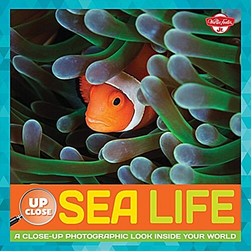Sea Life: A Close-Up Photographic Look Inside Your World (Hardcover)