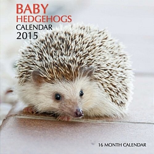 Baby Hedgehogs Calendar 2015: 16 Month Calendar (Paperback)