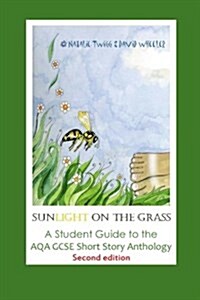 Sunlight on the Grass: A Student Guide to the Aqa Gcse Short Story Anthology: Large Print Edition (Paperback)