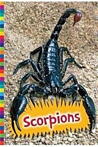 Scorpions (Library Binding)