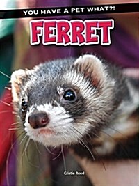 Ferret (Paperback)