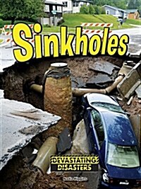 Sinkholes (Paperback)