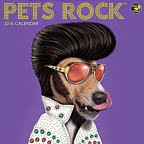 Pets Rock Calendar (Wall, 2016)