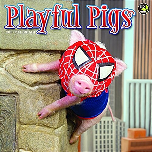 Playful Pigs Calendar (Wall, 2016)