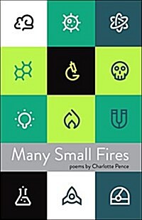 Many Small Fires (Paperback)