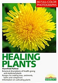 The Healing Plants (Paperback)