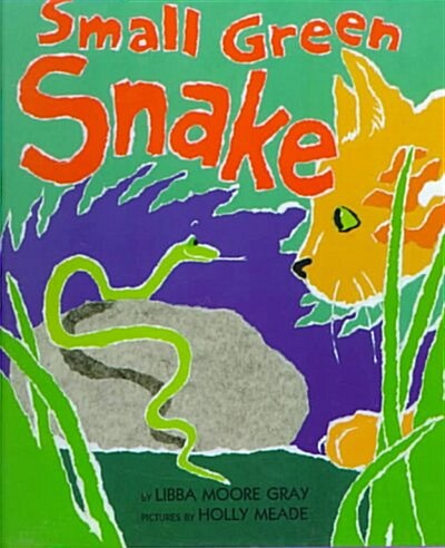 Small Green Snake (Hardcover)