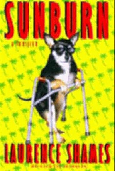 Sunburn (Hardcover)