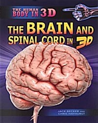 The Brain and Spinal Cord in 3D (Paperback)