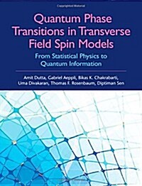 Quantum Phase Transitions in Transverse Field Spin Models : From Statistical Physics to Quantum Information (Hardcover)