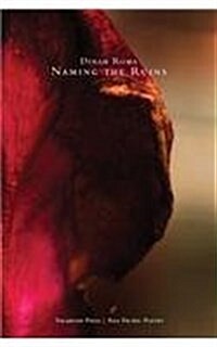 Naming the Ruins (Paperback, 3)