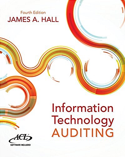 Information Technology Auditing (Paperback, 4)