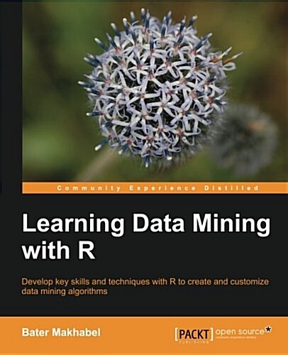 Learning Data Mining with R (Paperback)