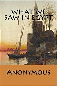 What We Saw in Egypt (Paperback)