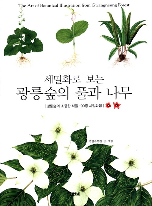 [중고] 세밀화로 보는 광릉숲의 풀과 나무