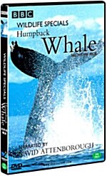 혹등고래 + 백상어 + 악어 : BBC 다큐멘터리 시리즈